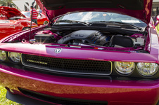 Enlarge photo 75