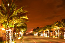 Enlarge photo 49