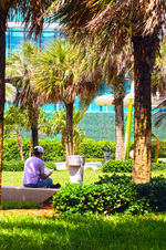 Enlarge photo 83