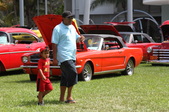 Enlarge photo 14