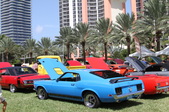 Enlarge photo 30