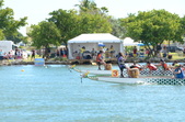 Enlarge photo 74