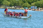 Enlarge photo 82