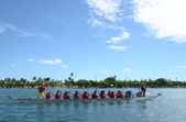 Enlarge photo 91