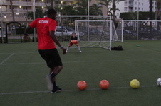 Fall 2017 Goalie Training