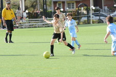 Enlarge photo 26