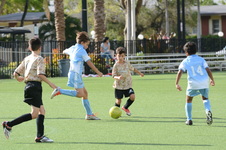 Enlarge photo 25