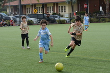 Enlarge photo 33