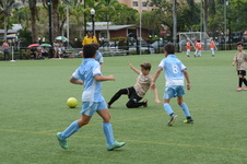 Enlarge photo 35