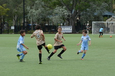 Enlarge photo 37
