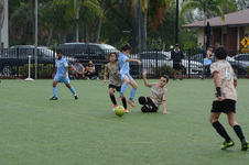 Enlarge photo 41