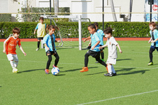 Enlarge photo 16