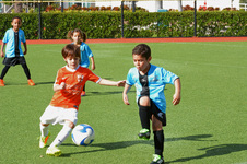 Enlarge photo 17
