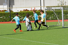 Enlarge photo 19