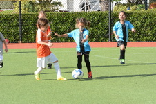 Enlarge photo 23