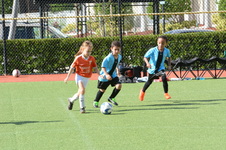 Enlarge photo 26
