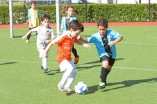 Enlarge photo 29