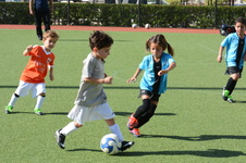 Enlarge photo 33