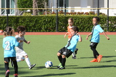Enlarge photo 36