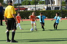 Enlarge photo 37