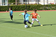 Enlarge photo 39