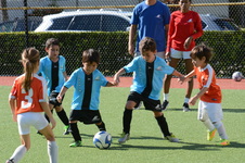 Enlarge photo 40