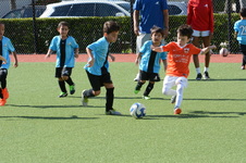 Enlarge photo 41