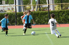 Enlarge photo 43