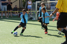 Enlarge photo 46