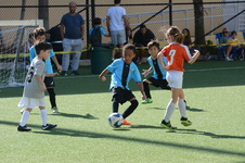 Enlarge photo 47