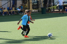 Enlarge photo 48