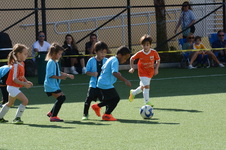 Enlarge photo 51