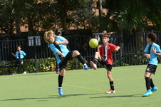 Enlarge photo 14