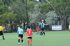 Enlarge photo 15