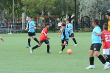 Enlarge photo 16