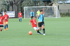 Enlarge photo 20