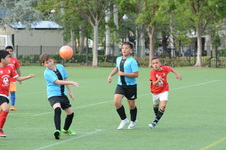 Enlarge photo 21