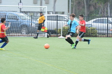 Enlarge photo 24