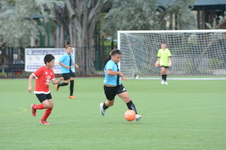Enlarge photo 25