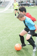 Enlarge photo 30