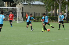 Enlarge photo 33