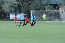 Enlarge photo 8