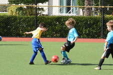 Enlarge photo 19