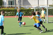 Enlarge photo 24