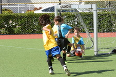 Enlarge photo 28