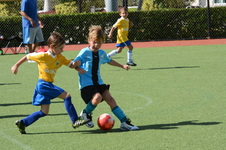 Enlarge photo 35