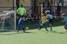Enlarge photo 36