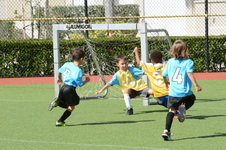 Enlarge photo 37