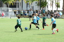 Enlarge photo 27