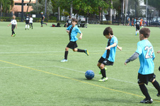 Enlarge photo 31